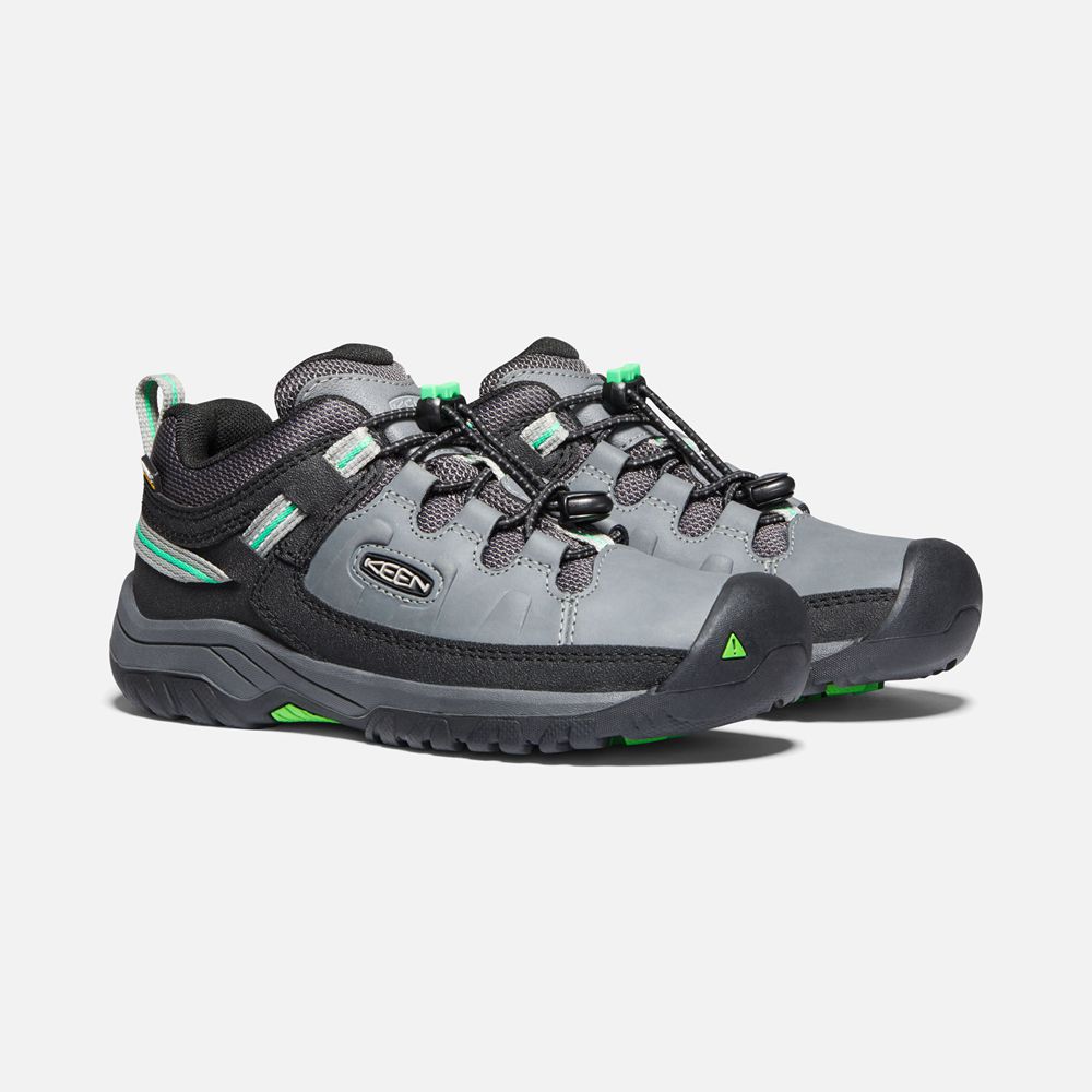 Chaussure de Randonnée Keen Enfant porno/Vert | Targhee Waterproof | VSYIU-8701